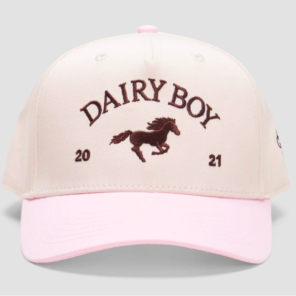 Dairy Boy East Coast Trucker Hat - Neapolitan